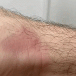 5e6870ac-5622-4bc3-8168-c4cd79d52138.gif